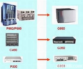 龍風褂的演變與現代網絡技術的跨界融合